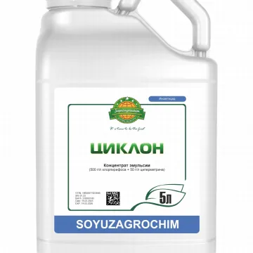 Циклон, КС
