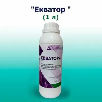 Екватор