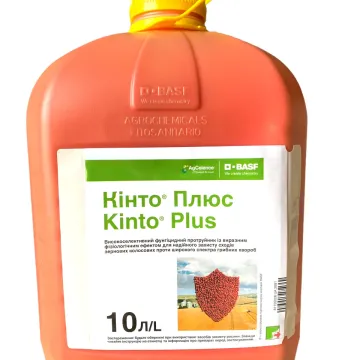 Кинто Плюс