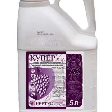 Купер
