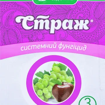 Страж