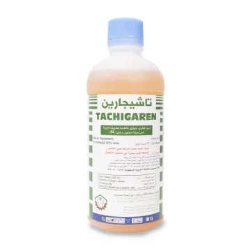 Tachigaren