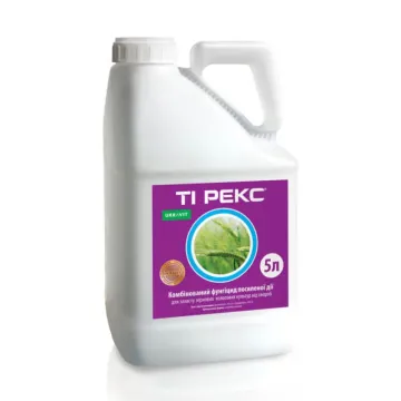 ТИ РЕКС, КЕ