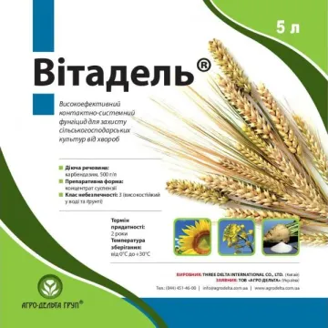 Витадель