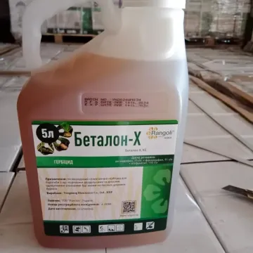 Беталон-Х