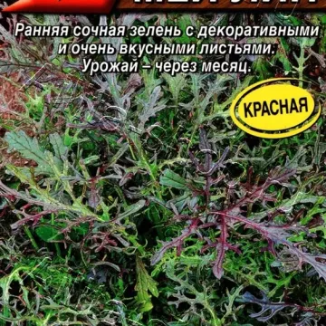 МЕЙ ЛИН