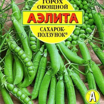 SAHAROK-POLZUNOK
