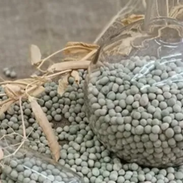 Виридис