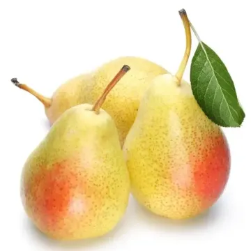 Юрьевская