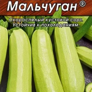 Malchugan
