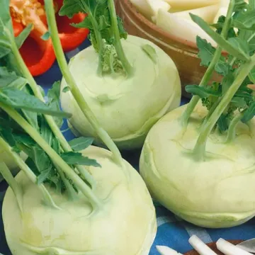 Картаго