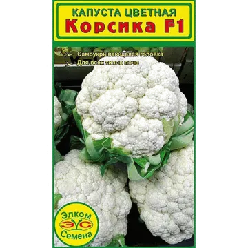 Корсика