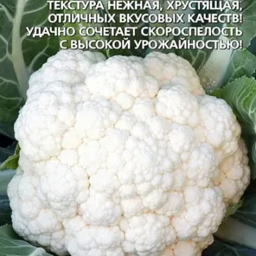 Кураж