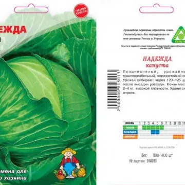 Надя
