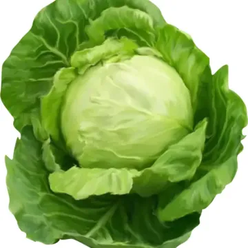 Шелли