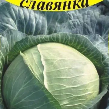 Славянка