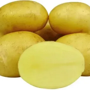 Джелли