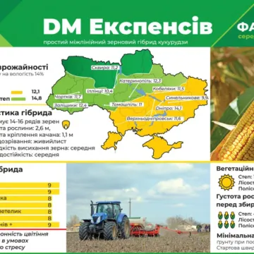 ДМ Експенсив