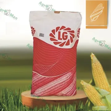 Е 2 УБВ 1