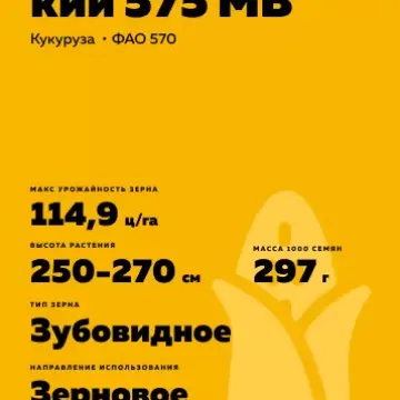 КРАСНОДАРСКИЙ 575 МВ