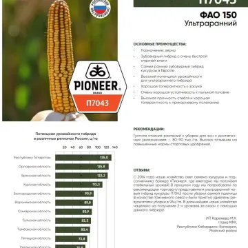 П 7043