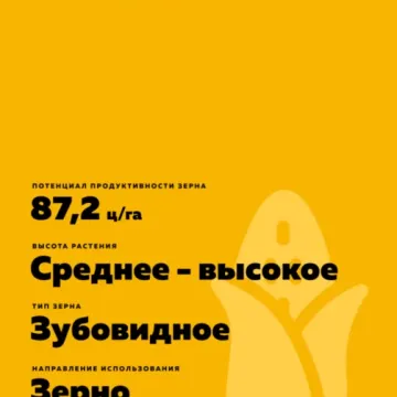 РЖТ Лекстур