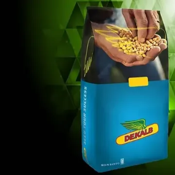 Визеа