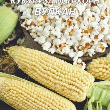 Вулкан