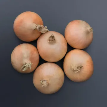 Хайсингер