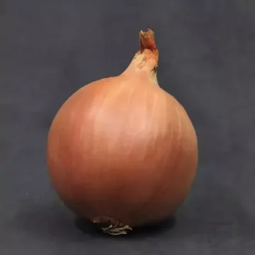 Хайсун