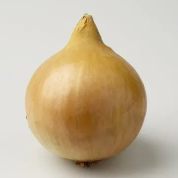 Мачо