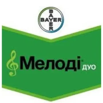Мелоди