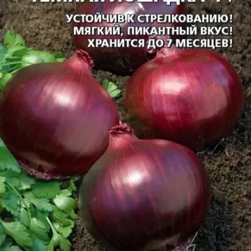 Тёмная Лошадка