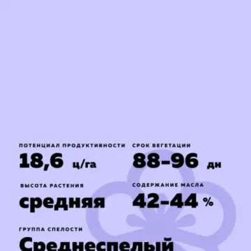Микс
