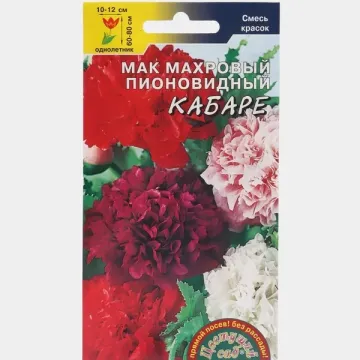 Кабаре