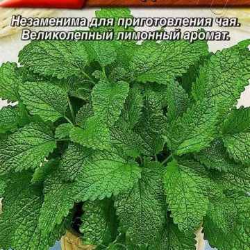 Сладкий СОН