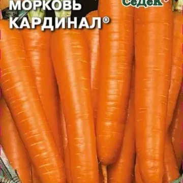 Кардинал