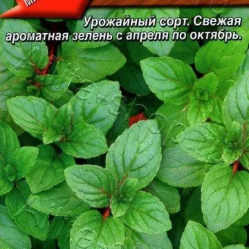 Ментол