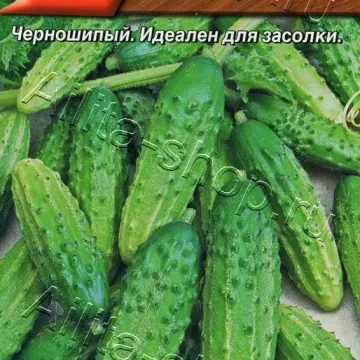 Баловень