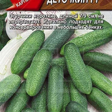 Деточкин