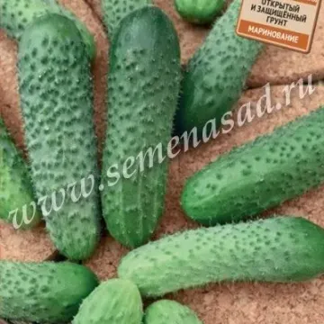 Экспресс