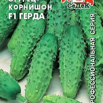 Герда