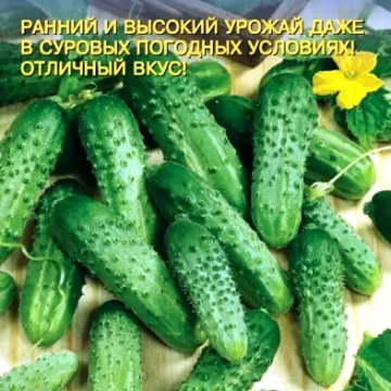 Гомер