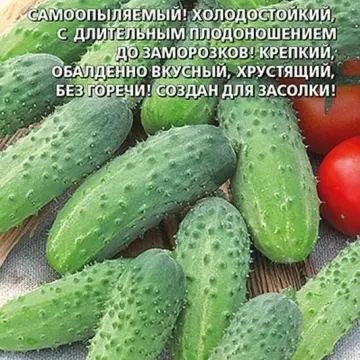 Колян