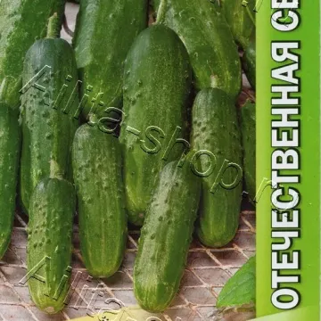 Кречет