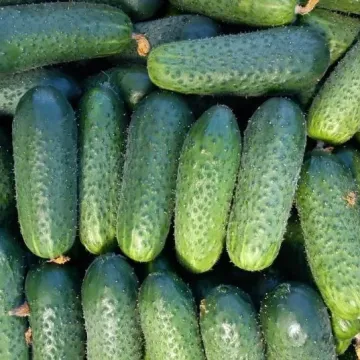 Миамара