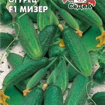 Мизер
