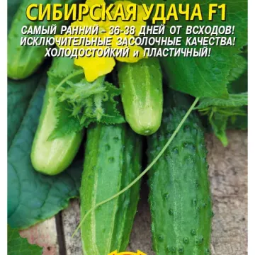 Сибирская Удача