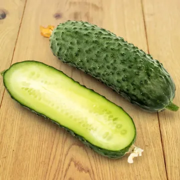 Шоша