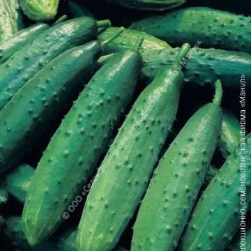 ТСХА 2693